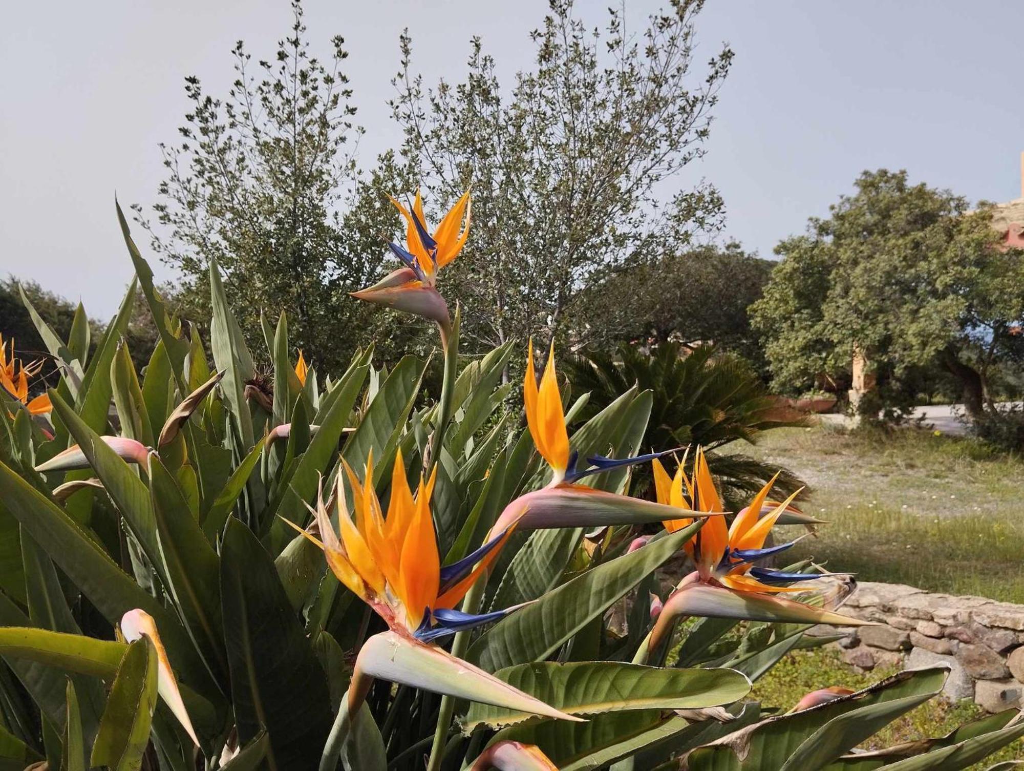 Holiday Home Riccio Di Mare Sardinia Marongiu Екстериор снимка