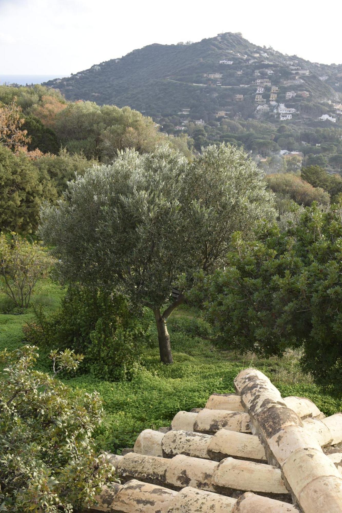 Holiday Home Riccio Di Mare Sardinia Marongiu Екстериор снимка
